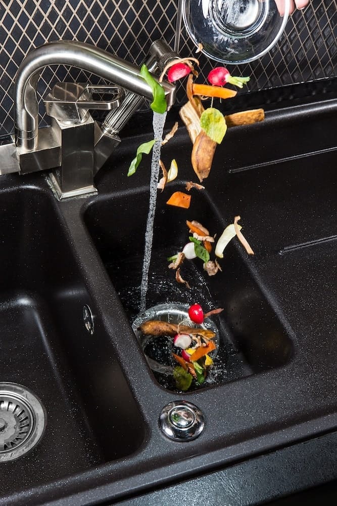 common-garbage-disposal-issues